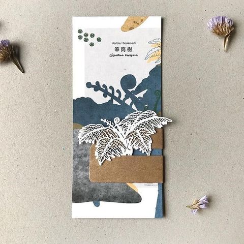 FERN ONLY 只有蕨 【南紡購物中心】 蕨類標本紙雕-筆筒樹 