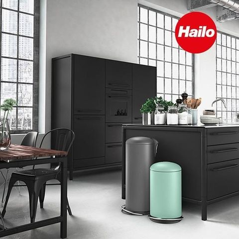 Hailo 【南紡購物中心】 德國 TOPdesign L 垃圾桶-24L