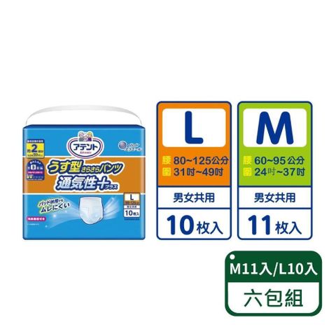 Attento 大王愛適多 【南紡購物中心】 【日本大王愛適多】透氣舒適復健褲-成人尿布墊 M11入/L10入六包組