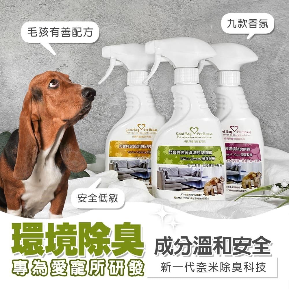 GBPH 好寶貝 【南紡購物中心】 【香茅檸檬】居家抗菌除臭噴霧 550ml