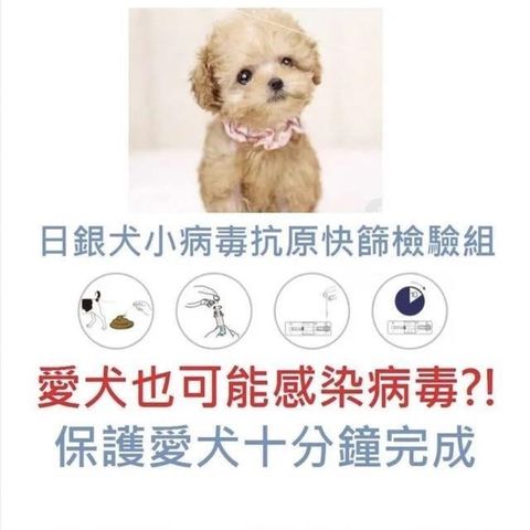 【南紡購物中心】 【日銀】犬小病毒抗原快篩檢驗組