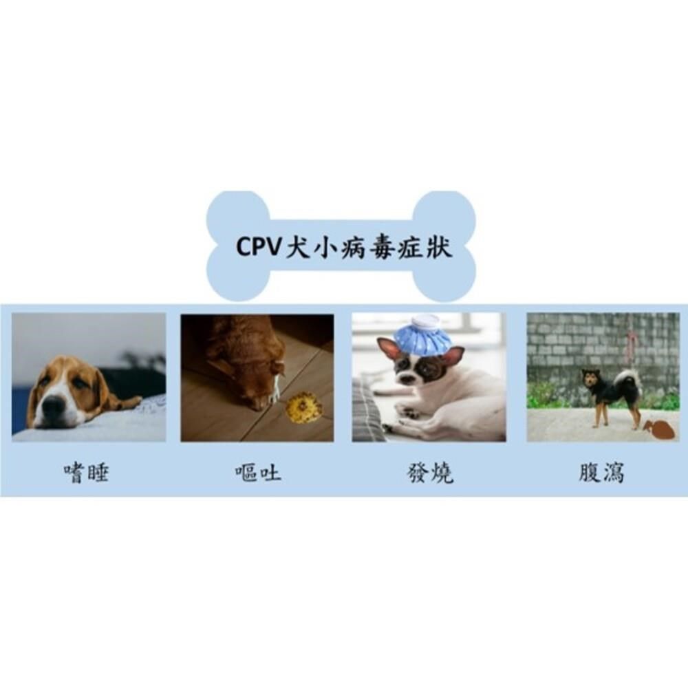  【南紡購物中心】 【日銀】犬小病毒抗原快篩檢驗組