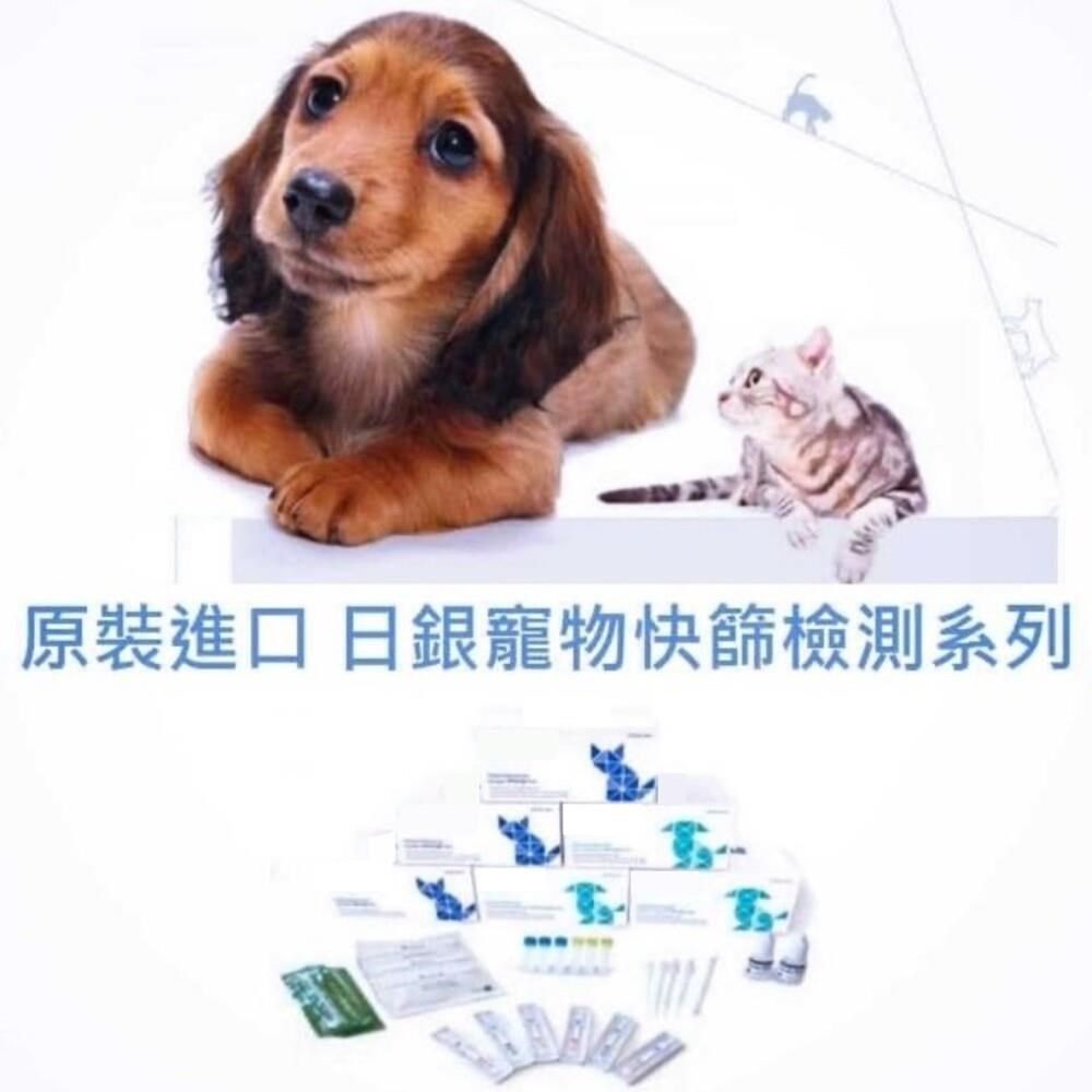 【南紡購物中心】 【日銀】犬小病毒抗原快篩檢驗組