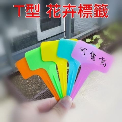 【珍愛頌】N070 T型花牌 花卉標籤 1組50入