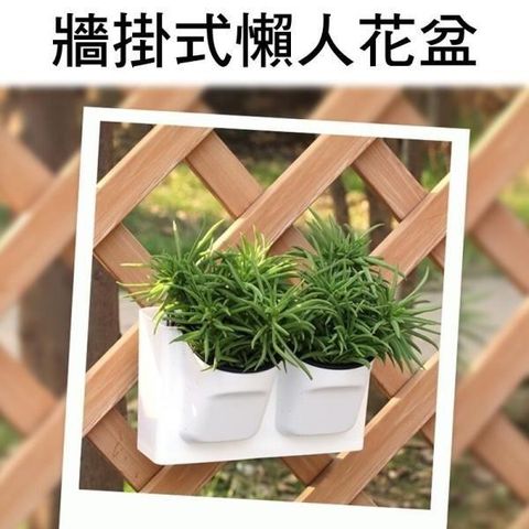 珍愛頌 【南紡購物中心】 N137 自動吸水 加厚植物牆懶人花盆 垂直壁掛 