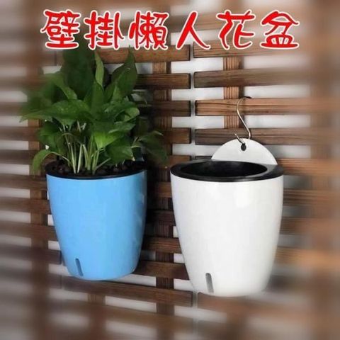 珍愛頌 【南紡購物中心】 N134 可視水位 恐龍蛋造型壁掛懶人花盆S號 