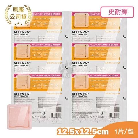 【史耐輝】矽膠愛力膚敷料 12.5cm*12.5cm (滅菌) 6片