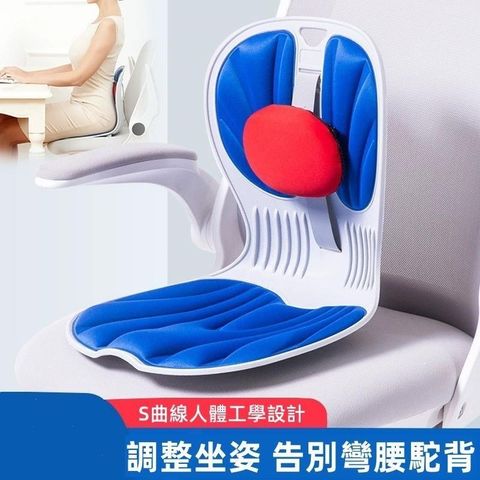 美姿坐墊 小圓枕護腰設計 座椅靠墊 護腰坐墊 辦公椅墊 和式坐墊[福睿得]