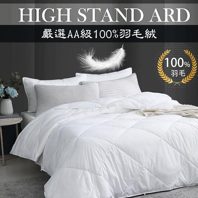 藻土屋 【南紡購物中心】 2入 MIT-100%水鳥羽絨棉被SUD-A