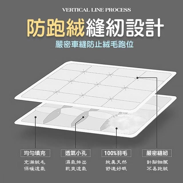 藻土屋 【南紡購物中心】 2入 MIT-100%水鳥羽絨棉被SUD-A