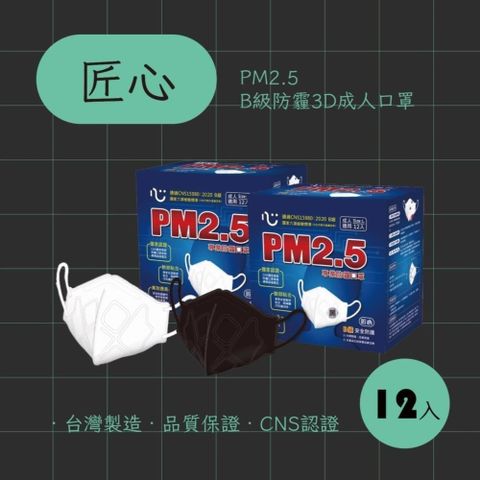 【南紡購物中心】 匠心PM2.5 B級防霾3D成人口罩 (單片包裝20入/盒) *2盒組販售