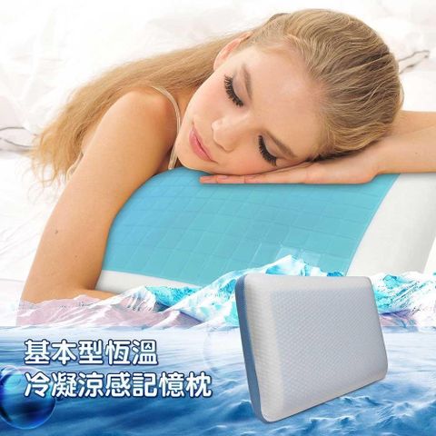 【南紡購物中心】 【Victoria】基本型恆溫冷凝涼感記憶枕(2顆)