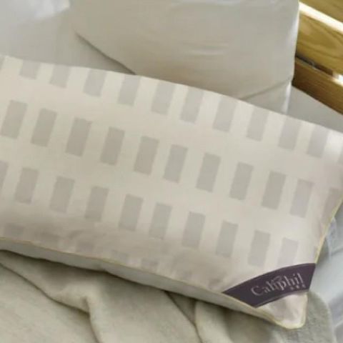Caliphil 品牌熱賣經典羊毛枕 /白