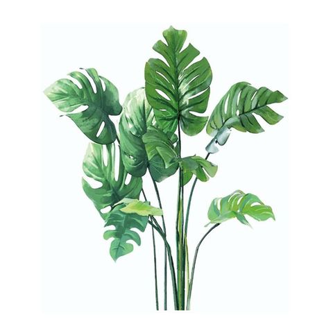 無痕設計防水壁貼 北歐風 植物 龜背芋 裝飾貼紙 D11