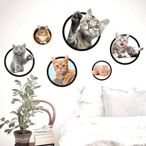 【南紡購物中心】 無痕設計防水壁貼 立體 貓咪 寵物 虎斑 橘貓 裝飾貼紙 6229