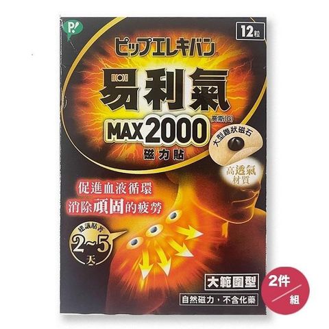 易利氣 【南紡購物中心】 MAX2000磁力貼(12粒)*2件組