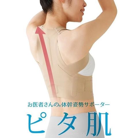 ALPHAX 日本製 醫護超彈性體幹姿勢支撐帶 一入 防駝背 護腰帶 收腹帶 駝背矯正帶