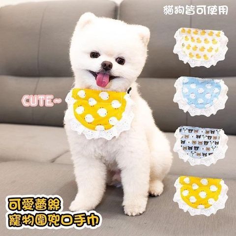 【藻土屋】可愛蕾絲寵物圍兜口手巾