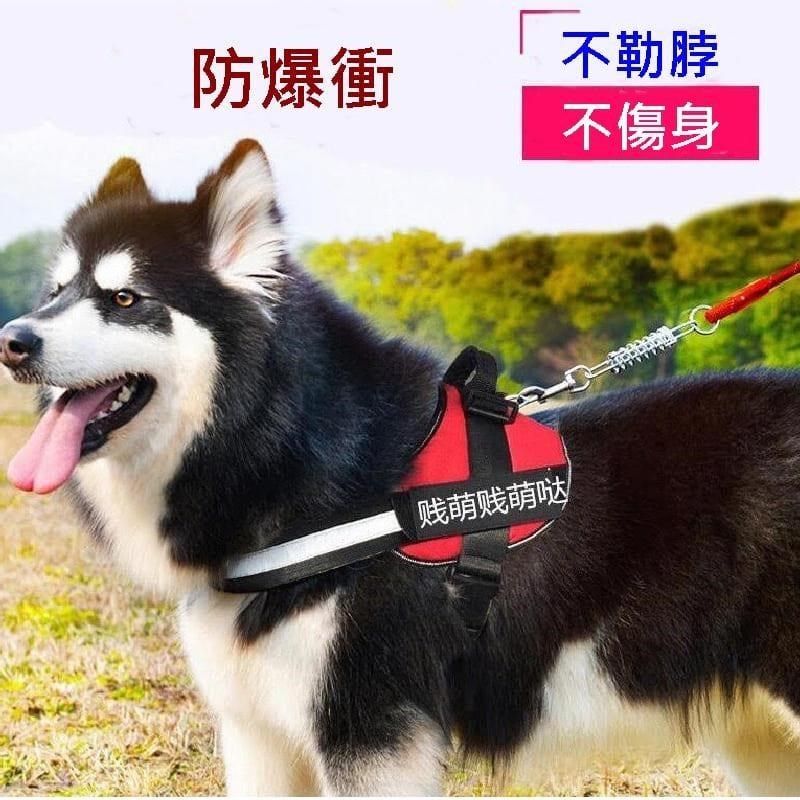  【南紡購物中心】 Caiyi K9胸背帶 寵物防暴衝帶 狗胸背帶 寵物防暴衝 牽繩 寵物胸背帶 L