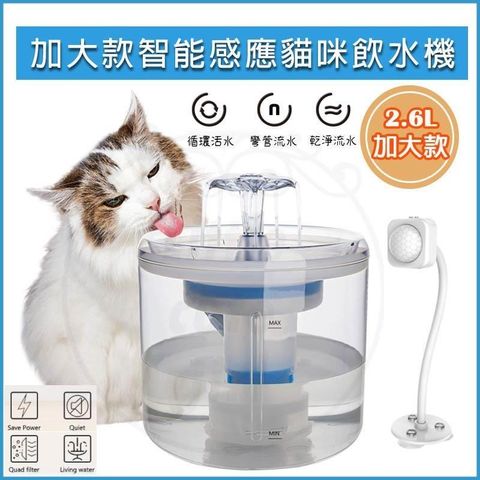 [HOUSE MALL] 2.6L防乾燒4重過濾智能寵物飲水機-智能感應版