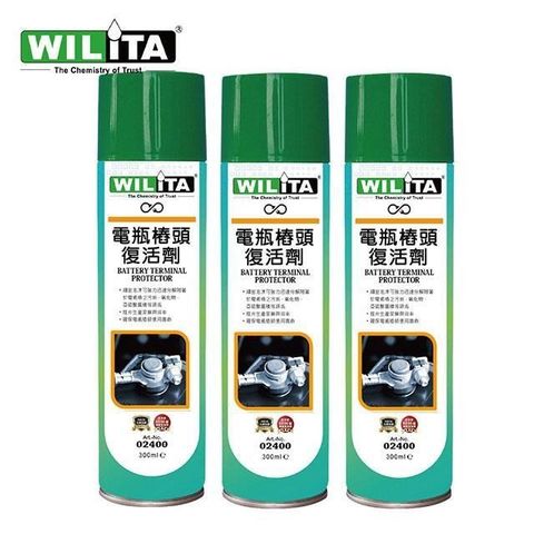 WILITA 威力特 電瓶樁頭保護劑300ml*3入組