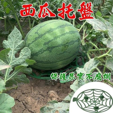 珍愛頌 【南紡購物中心】 N414 防腐爛 西瓜支架 5入