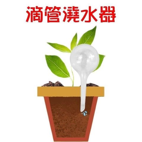 珍愛頌 【南紡購物中心】 N158 小號 自動澆花器 滴管澆水器 5入