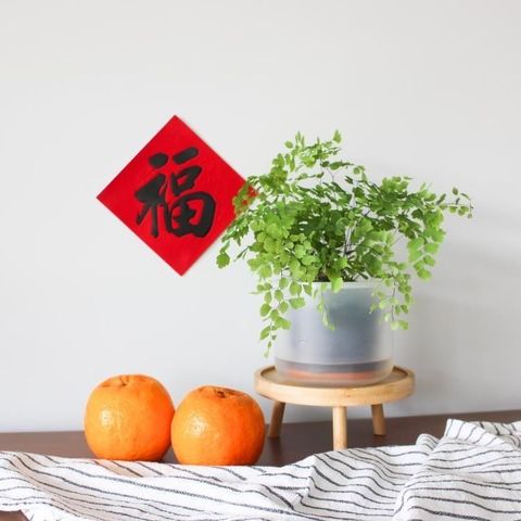 【紐西蘭 boskke】耕作之盆 懶人花器 單盆10.5 cm 2入組 (附培養土 1L)