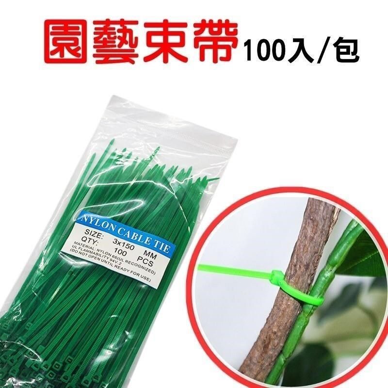  【南紡購物中心】 【珍愛頌】N400 園藝束帶 100入/包