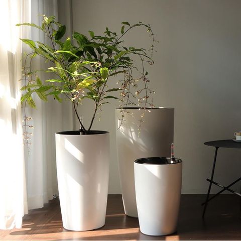 Caiyi 北歐 圓形高花盆自動吸水懶人花盆 落地式懶人自吸盆