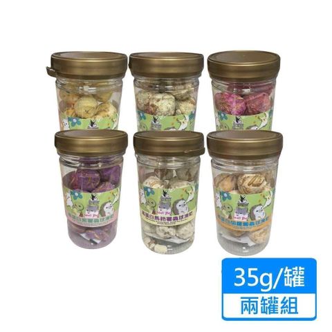 Pet Village 【南紡購物中心】 【 魔法村】小動物高蛋白 35g 兩包組