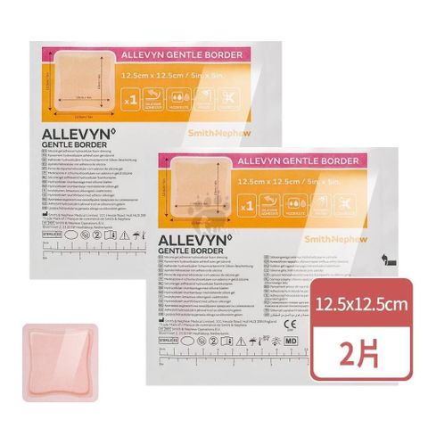 史耐輝 矽膠愛力膚敷料X2片 (12.5x12.5cm)