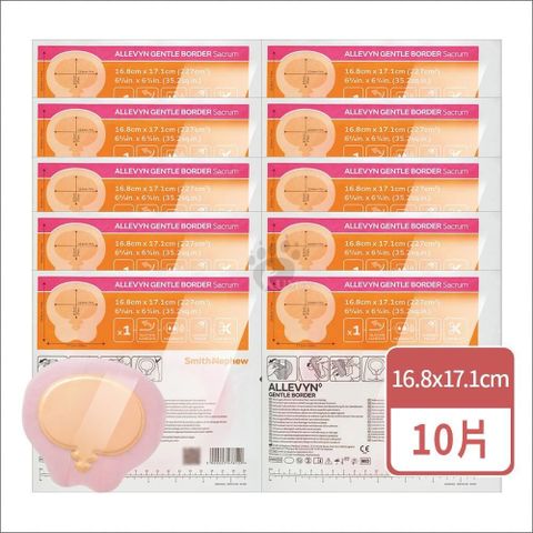 史耐輝 矽膠愛力膚敷料X10片 (16.8x17.1cm/片)