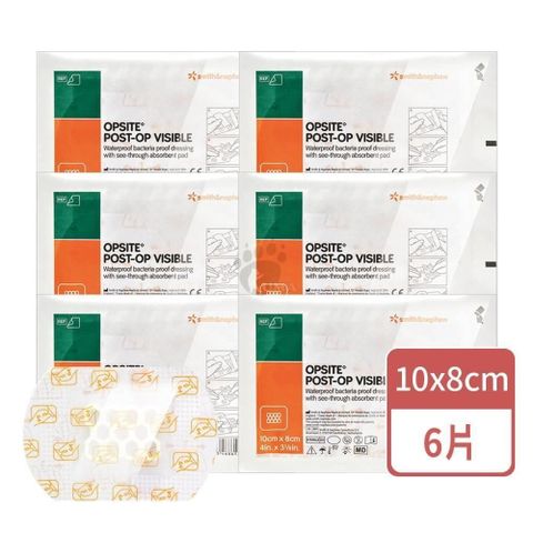 史耐輝 透視性晶格泡棉敷料X6片 (10x8cm/片)