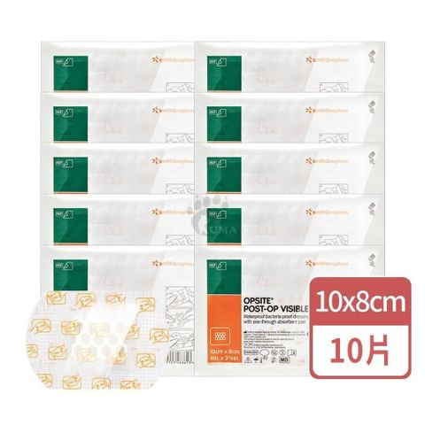 史耐輝 透視性晶格泡棉敷料X10片 (10x8cm/片)