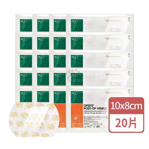 史耐輝 透視性晶格泡棉敷料X20片 (10x8cm/片)