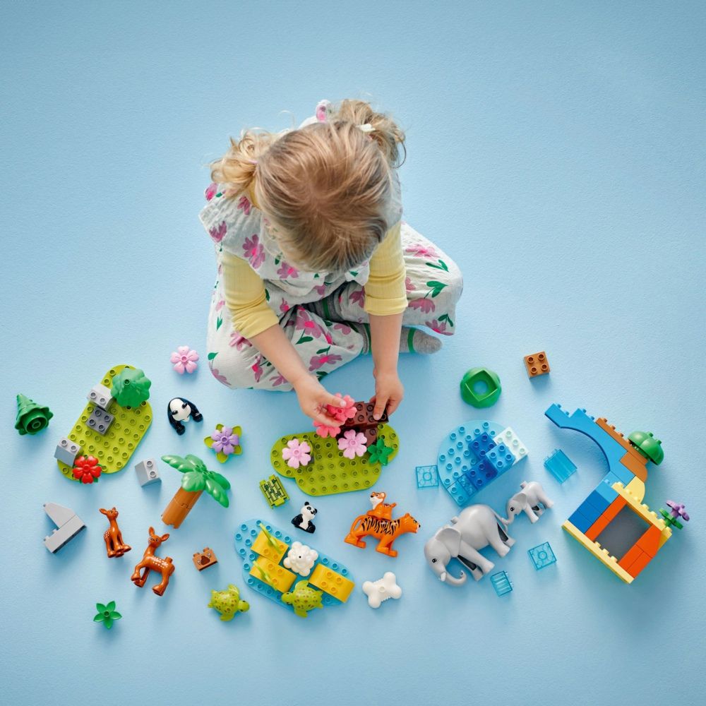 LEGO 樂高 得寶系列 10446 3 合 1 野生動物家庭(動物玩具 幼兒積木 兒童玩具 學習積木)