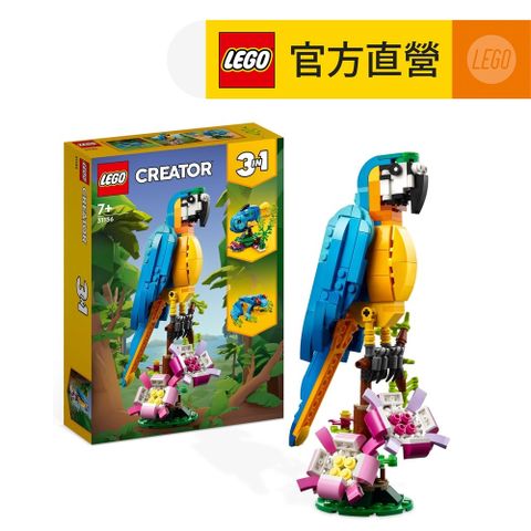 LEGO 樂高 創意百變系列3合1 31136 異國鸚鵡(百變動物玩具 益智積木)