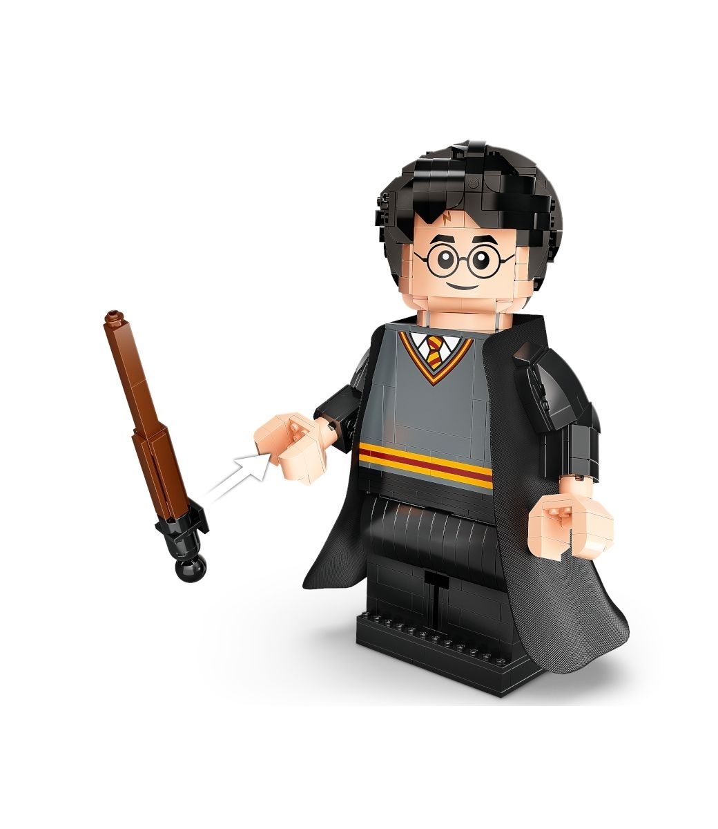 LEGO樂高哈利波特系列76393 Harry Potter& Hermione Granger - PChome