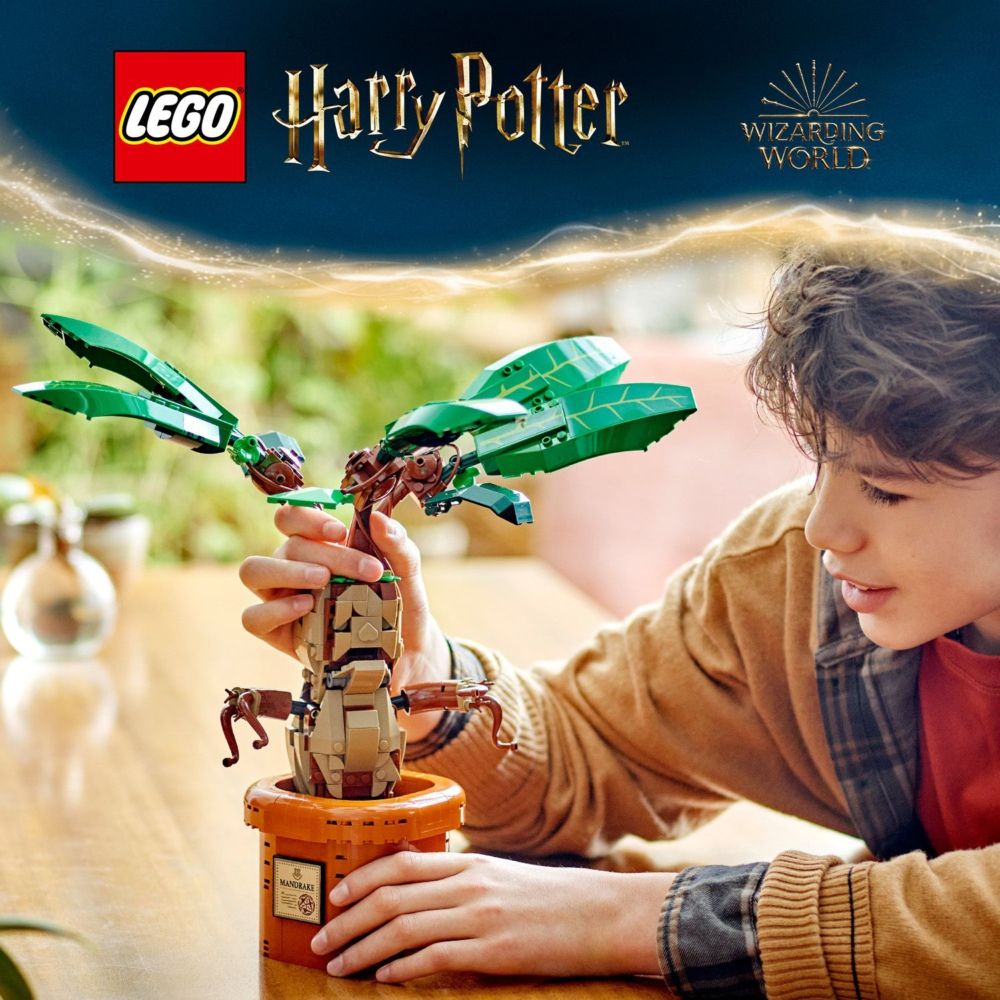 LEGO 樂高  哈利波特系列 76433 魔蘋果(Mandrake 植物模型)