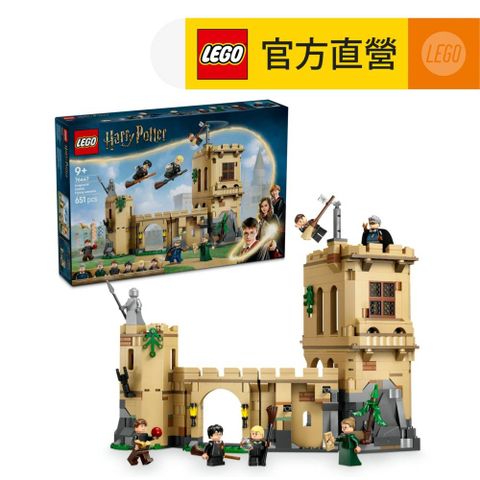 LEGO 樂高 哈利波特系列 76447 霍格華玆：飛行課(Harry Potter 神秘的魔法石 魁地奇 兒童玩具)