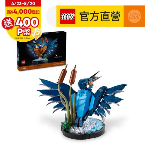 LEGO樂高 Icons 10331 翠鳥