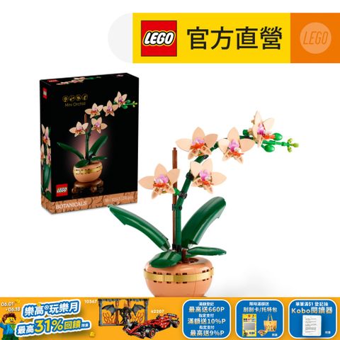 Botanicals 10343 迷你蘭花