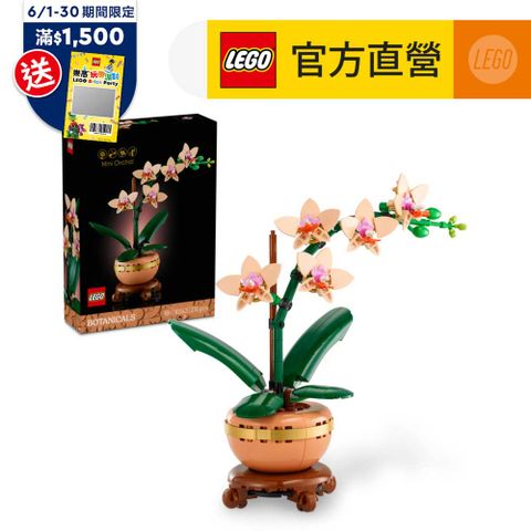 Botanicals 10343 迷你蘭花