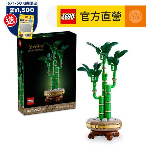 Botanicals 10344 開運竹