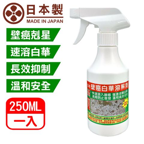 Asahipen 朝日塗料 日本壁癌白華溶解劑 250ML 除壁癌必備 可溶解壁癌白華並且抑制再生成