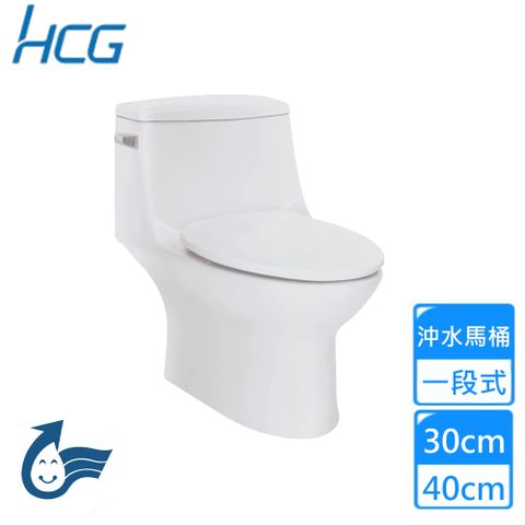HCG 和成 一段式側壓省水單體馬桶(C4293J 不含安裝)