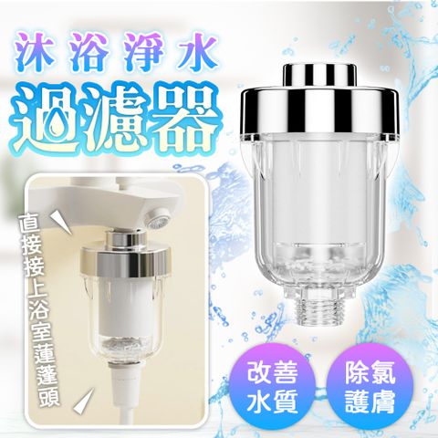 花灑水龍頭過濾器(超值2入)