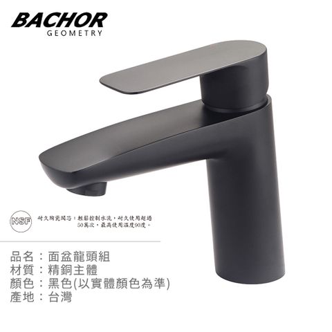 BACHOR 工業風單槍面盆龍頭(霧黑)-無安裝 P10753BK