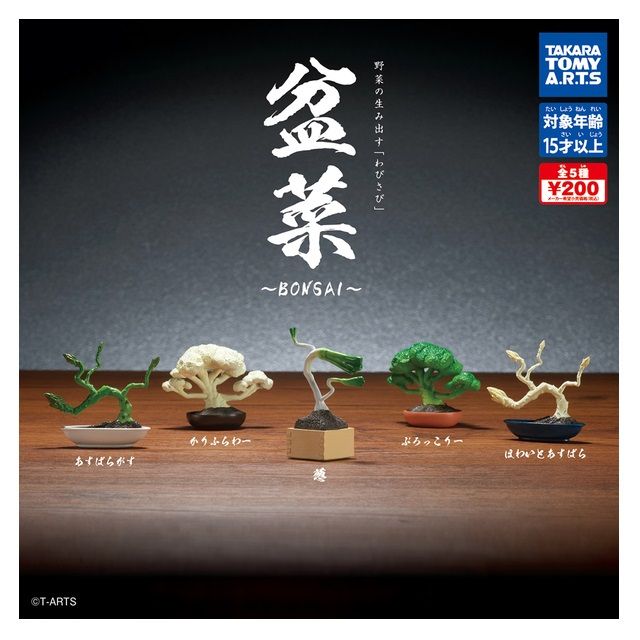 TAKARA TOMY 全套5款【日本正版】盆菜 扭蛋 轉蛋 植物 蔬菜 青菜 迷你盆栽 迷你花椰菜 迷你白蘆筍 - 067600